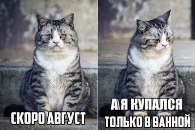 15.jpg (103.5 КБ) 2834 просмотра 15.jpg