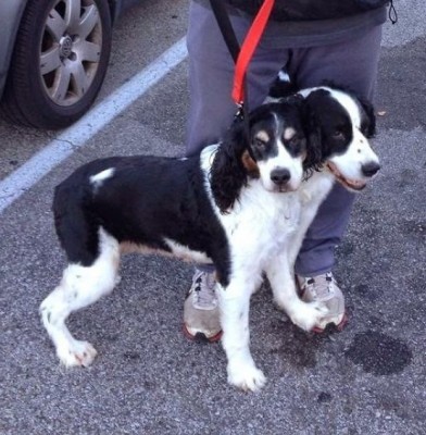 12.jpg (135.15 КБ) 2782 просмотра 12.jpg