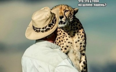 14.jpg (42.82 КБ) 2396 просмотров 14.jpg