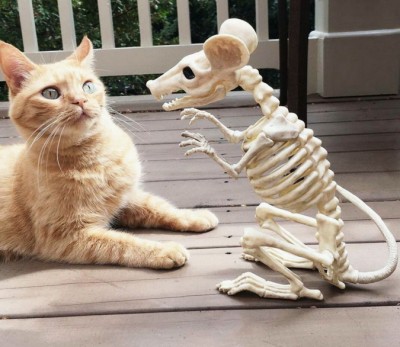 16.jpg (147.94 КБ) 2690 просмотров 16.jpg