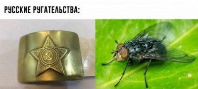 13.jpg (57.88 КБ) 2799 просмотров 13.jpg