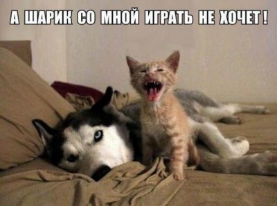 16.jpg (94.37 КБ) 2763 просмотра 16.jpg