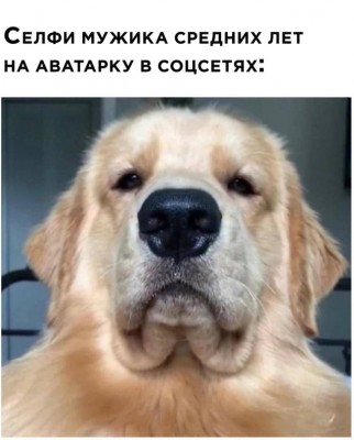 12.jpg (110.52 КБ) 2655 просмотров 12.jpg