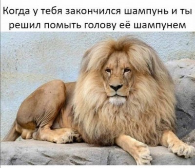 15.jpg (87.28 КБ) 2723 просмотра 15.jpg