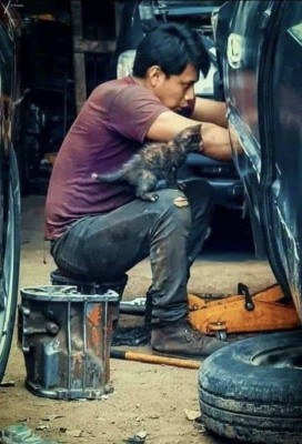 13.jpg (85.17 КБ) 2674 просмотра 13.jpg