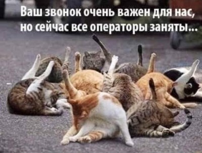 16.jpg (76.56 КБ) 2324 просмотра 16.jpg