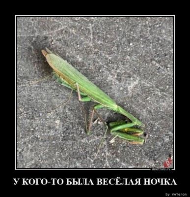 14.jpg (134.25 КБ) 2210 просмотров 14.jpg