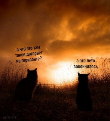 15.jpg (102.4 КБ) 2225 просмотров 15.jpg