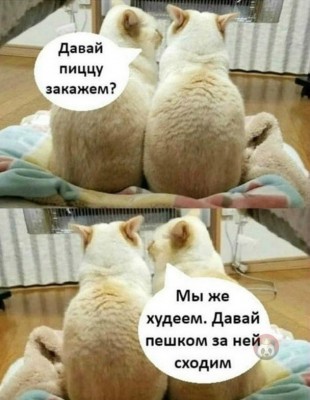 14.jpg (133.5 КБ) 2223 просмотра 14.jpg