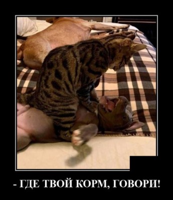 12.jpg (64.69 КБ) 2219 просмотров 12.jpg