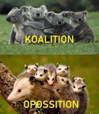 13.jpg (64.22 КБ) 2591 просмотр 13.jpg