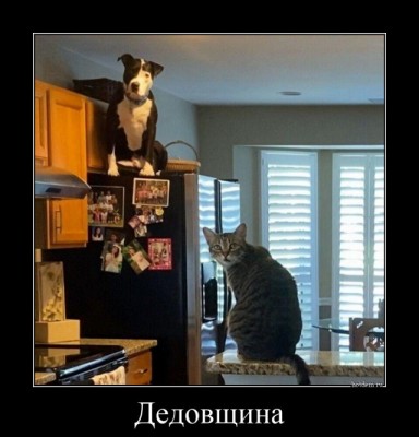 13.jpg (96.48 КБ) 2547 просмотров 13.jpg