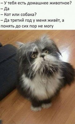 15.jpg (115.63 КБ) 2422 просмотра 15.jpg