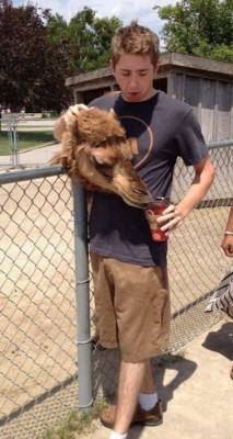 11.jpg (193.93 КБ) 2356 просмотров 11.jpg