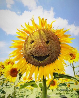 16.jpg (102.12 КБ) 2764 просмотра 16.jpg