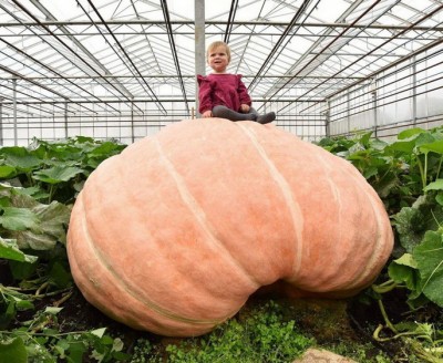 11.jpg (202.33 КБ) 2539 просмотров 11.jpg