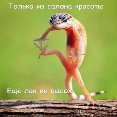 11.jpg (79.1 КБ) 2494 просмотра 11.jpg