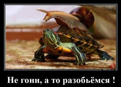 12.jpg (87.29 КБ) 2316 просмотров 12.jpg