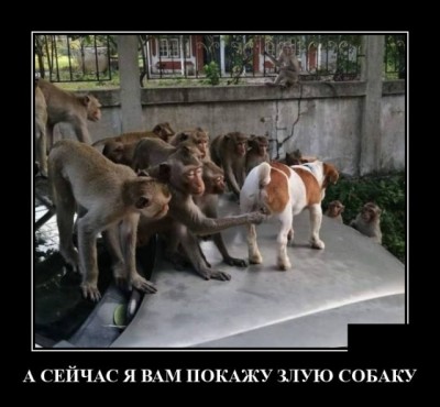 11.jpg (72.62 КБ) 2257 просмотров 11.jpg