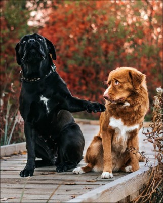 15.jpg (230.42 КБ) 2677 просмотров 15.jpg