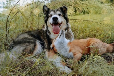 12.jpg (107.92 КБ) 2743 просмотра 12.jpg