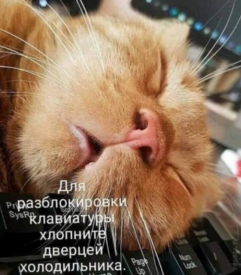 14.jpg (127.64 КБ) 2612 просмотров 14.jpg