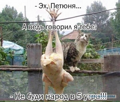 11.jpg (108.25 КБ) 2462 просмотра 11.jpg