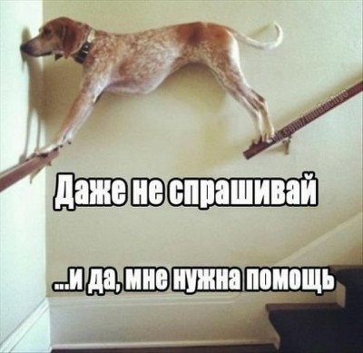 12.jpg (98.85 КБ) 2561 просмотр 12.jpg