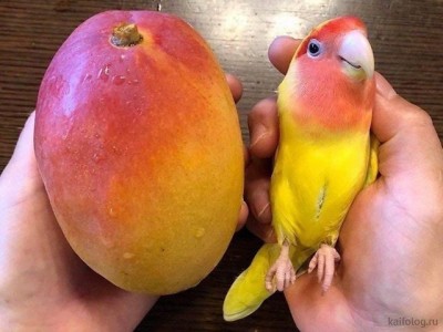 11.jpg (75.91 КБ) 2511 просмотров 11.jpg