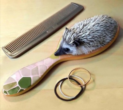 14.jpg (71.25 КБ) 2342 просмотра 14.jpg