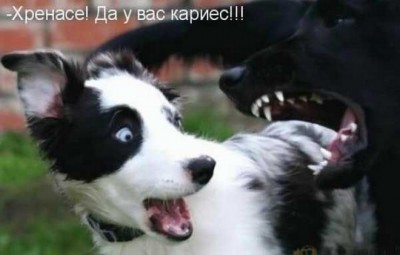 13.jpg (64.9 КБ) 2384 просмотра 13.jpg