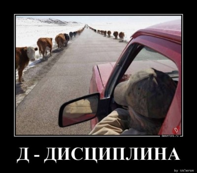 12.jpg (78.24 КБ) 2385 просмотров 12.jpg