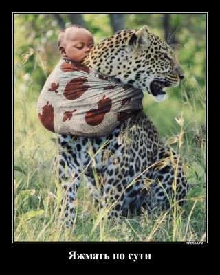 11.jpg (208.91 КБ) 2180 просмотров 11.jpg