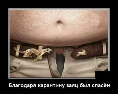 11.jpg (56.79 КБ) 2315 просмотров 11.jpg