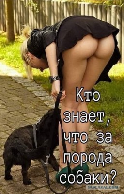 17.jpg (234.1 КБ) 2249 просмотров 17.jpg