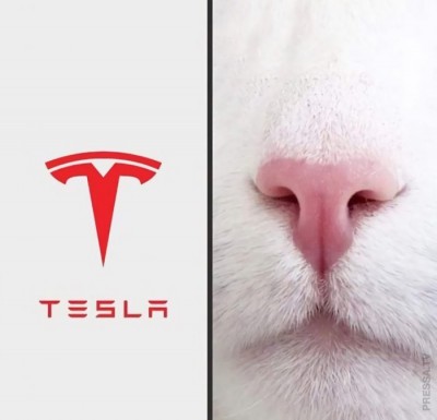 12.jpeg (39.72 КБ) 2623 просмотра 12.jpeg