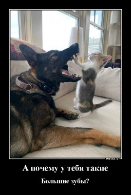 13.jpg (137.22 КБ) 2513 просмотров 13.jpg