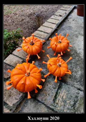 12.jpg (278.08 КБ) 2513 просмотров 12.jpg