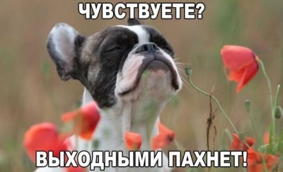 15.jpg (60.28 КБ) 2567 просмотров 15.jpg