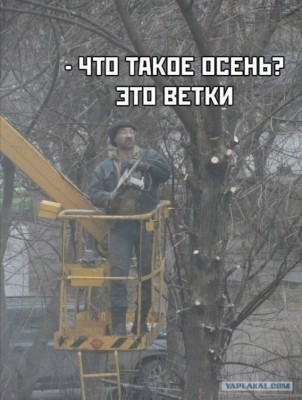 13.jpg (129.21 КБ) 2316 просмотров 13.jpg