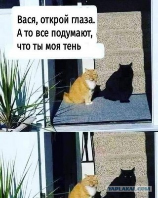 12.jpg (166.61 КБ) 2344 просмотра 12.jpg