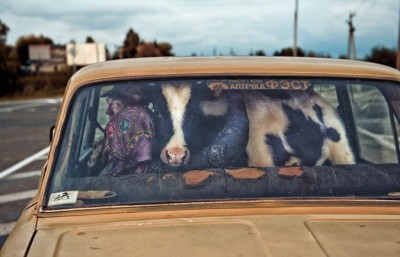 15.jpg (102.46 КБ) 2323 просмотра 15.jpg