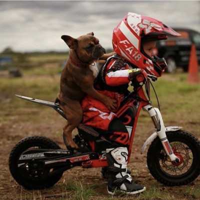 16.jpg (150.34 КБ) 2342 просмотра 16.jpg