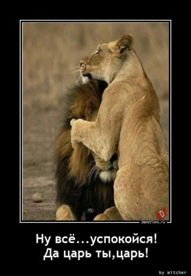 11.jpg (117.71 КБ) 2215 просмотров 11.jpg