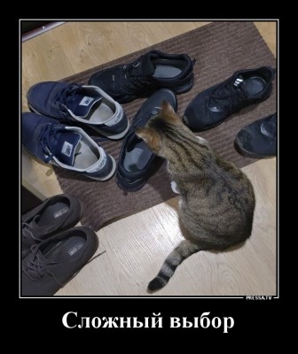 12.jpg (144.27 КБ) 2089 просмотров 12.jpg