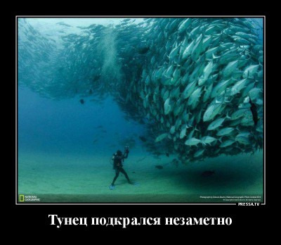 13.jpg (141.42 КБ) 2900 просмотров 13.jpg