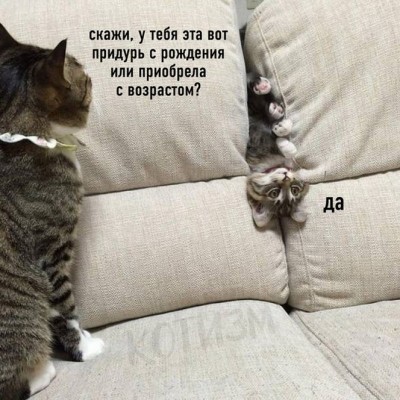 16.jpg (182.43 КБ) 2822 просмотра 16.jpg