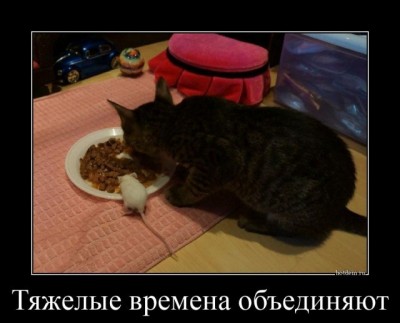 11.jpg (59 КБ) 2788 просмотров 11.jpg