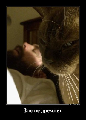 14.jpg (106.39 КБ) 2848 просмотров 14.jpg