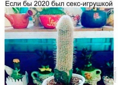 14.jpg (70.47 КБ) 2756 просмотров 14.jpg